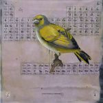 GMO Cardinal 2012. Latex on canvas, 56 x 54 in.